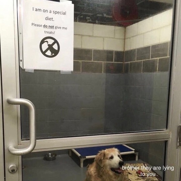 High - Picture 2 of 8